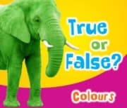 Tapa de True or False Pack A of 5