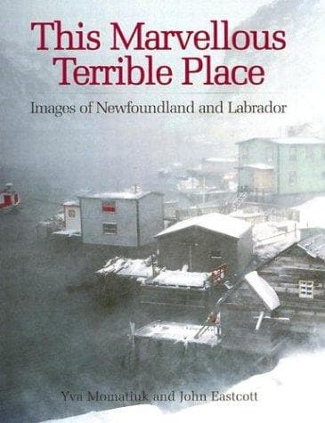 Tapa de This Marvellous Terrible Place