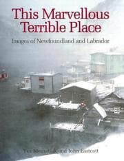 Tapa de This Marvellous Terrible Place