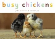 Tapa de Busy Chickens