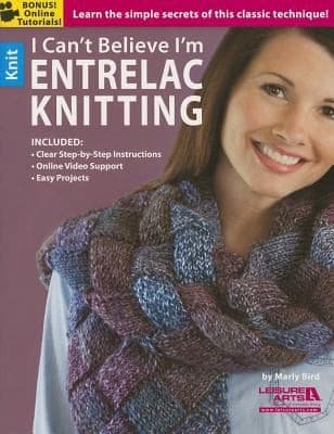Tapa de I Cant Believe Im Entrelac Knitting