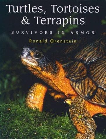 Tapa de Turtles, tortoises, and terrapins