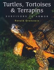 Tapa de Turtles, tortoises, and terrapins