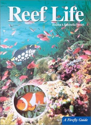 Tapa de Reef life