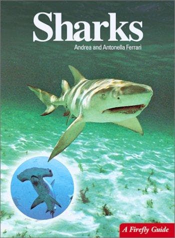 Tapa de Sharks