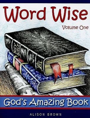 Tapa de Word Wise