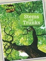 Tapa de Stems and Trunks