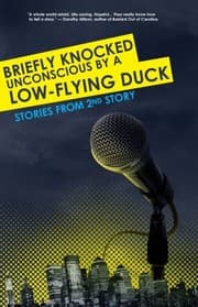 Tapa de Briefly Knocked Unconscious By A Lowflying Duck Stories From 2nd Story