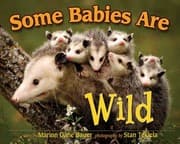 Tapa de Some Babies Are Wild