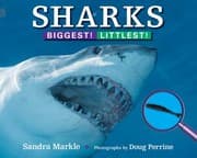 Tapa de Sharks
            
                Biggest Littlest Paperback
