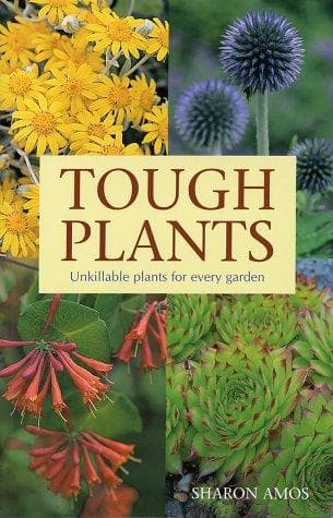Tapa de Tough Plants