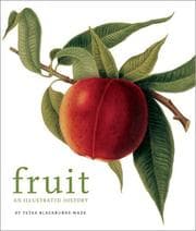 Tapa de Fruit