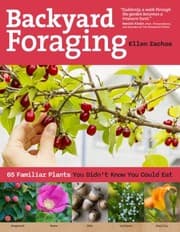 Tapa de Everyday Foraging