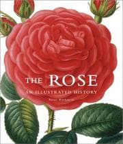Tapa de The Rose