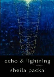Tapa de Echo Lightning Poems