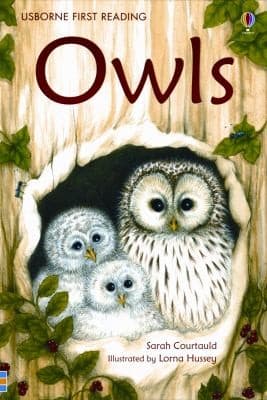 Tapa de Owls
Usborne First Reading Level 4