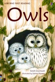 Tapa de Owls
            
                Usborne First Reading Level 4
