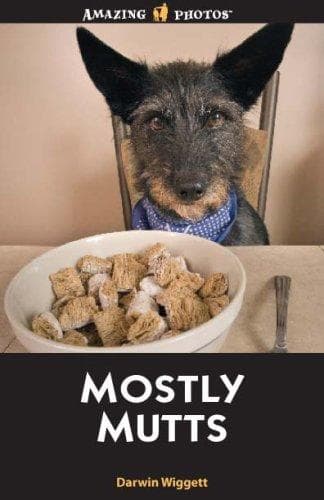 Tapa de Mostly Mutts (Amazing Photos)