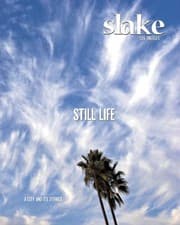 Tapa de Slake Los Angeles a City and Its Stories No1