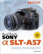 Tapa de David Buschs Sony Alpha Slta57 Guide To Digital Photography