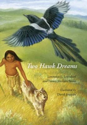 Tapa de Two Hawk Dreams