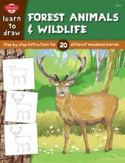 Tapa de Forest Animals Wildlife Stepbystep Instructions For 25 Different Woodland Animals