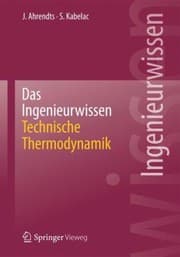 Tapa de Das Ingenieurwissen