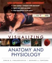 Tapa de Visualizing Anatomy and Physiology First Edition Binder Ready Version