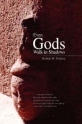 Tapa de Even Gods Walk in Shadows