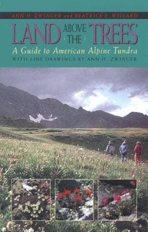 Tapa de Land above the Trees
