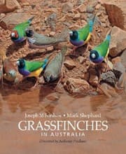Tapa de Grassfinches in Australia