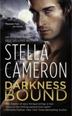 Tapa de Darkness Bound