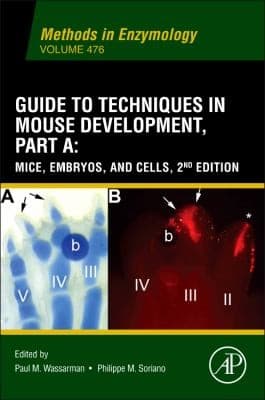 Tapa de Guide to Techniques in Mouse Development Part A
Methods in Enzymology