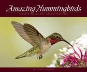 Tapa de Amazing Hummingbirds Unique Images And Characteristics