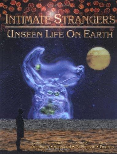 Tapa de Intimate strangers