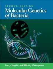 Tapa de Molecular genetics of bacteria