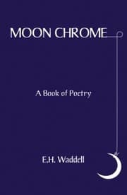 Tapa de Moon Chrome