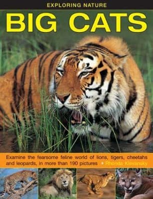 Tapa de Exploring Nature Big Cats