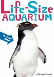 Tapa de LifeSize Aquarium
            
                LifeSize