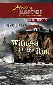 Tapa de Witness On The Run