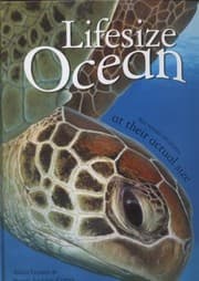 Tapa de Lifesize Ocean