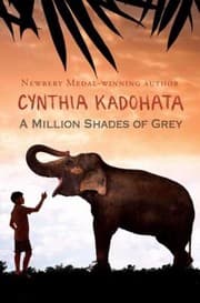 Tapa de A Million Shades of Grey