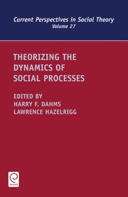 Tapa de Theorizing The Dynamics Of Social Processes