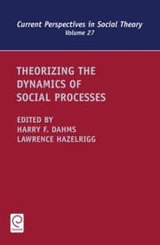 Tapa de Theorizing The Dynamics Of Social Processes