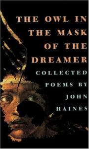 Tapa de The Owl in the Mask of the Dreamer