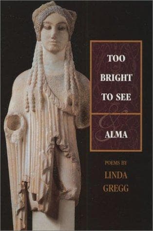 Tapa de Too bright to see