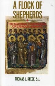 Tapa de A Flock of Shepherds