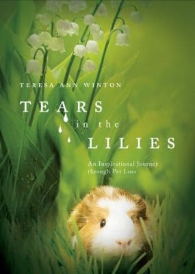 Tapa de Tears in the Lilies