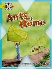 Tapa de Ants At Home