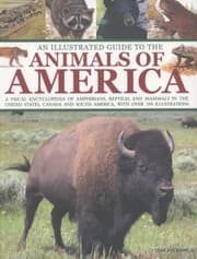 Tapa de An Illustrated Guide to the Animals of America